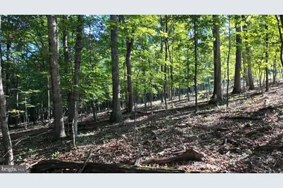 Racey Road, Augusta, WV 26704 - Photo 23