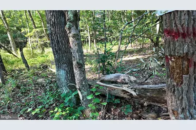 Racey Road, Augusta, WV 26704 - Photo 29