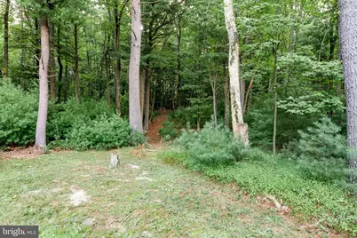 91 Cary Court, Capon Bridge, WV 26711 - Photo 9