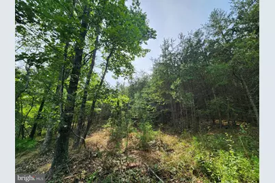 Lot 28 Quivey's Grove, Romney, WV 26757 - Photo 27