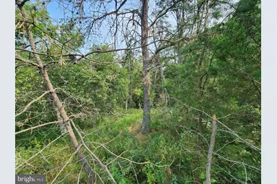 Lot 28 Quivey's Grove, Romney, WV 26757 - Photo 33