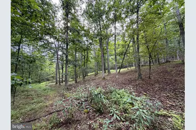 190 Bluffs On The Potomac, Romney, WV 26757 - Photo 39