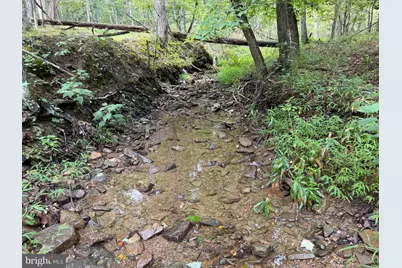190 Bluffs On The Potomac, Romney, WV 26757 - Photo 41