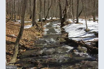 190 Bluffs On The Potomac, Romney, WV 26757 - Photo 15