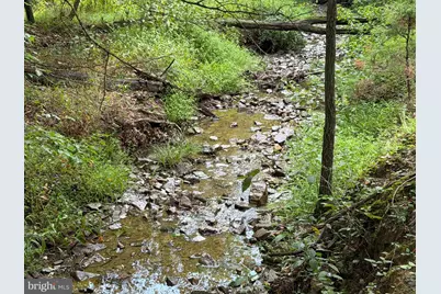 190 Bluffs On The Potomac, Romney, WV 26757 - Photo 37