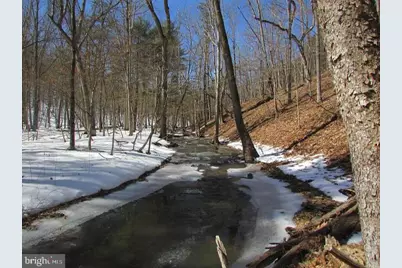 190 Bluffs On The Potomac, Romney, WV 26757 - Photo 21