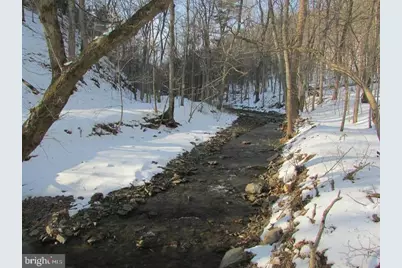 190 Bluffs On The Potomac, Romney, WV 26757 - Photo 17