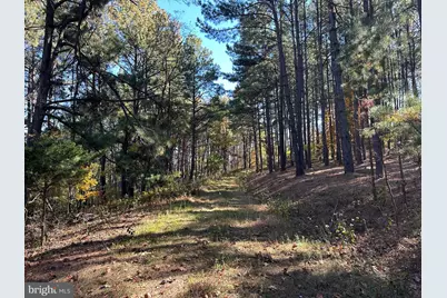3 Bluffs On The Potomac, Springfield, WV 26763 - Photo 53