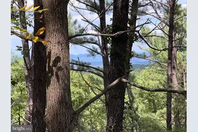 3 Bluffs On The Potomac, Springfield, WV 26763 - Photo 37