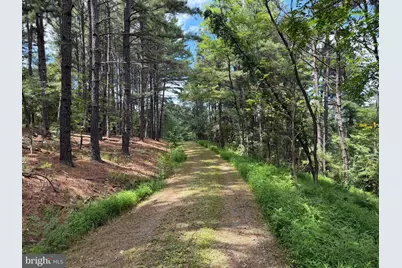 3 Bluffs On The Potomac, Springfield, WV 26763 - Photo 23