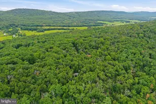 899 Oak Dale Ct, Capon Bridge, WV 26711 - Photo 39