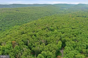 899 Oak Dale Ct, Capon Bridge, WV 26711 - Photo 43