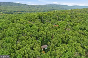 899 Oak Dale Ct, Capon Bridge, WV 26711 - Photo 41