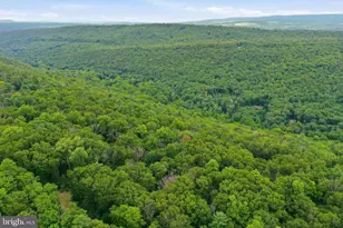 899 Oak Dale Ct, Capon Bridge, WV 26711 - Photo 45