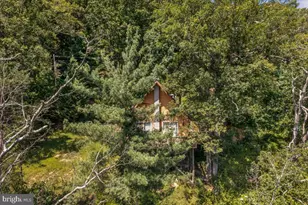 444 Nugget Dr, Capon Bridge, WV 26711 - Photo 17
