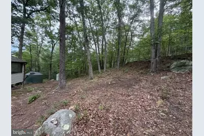 2011 Bear Garden Trail, Capon Bridge, WV 26711 - Photo 19
