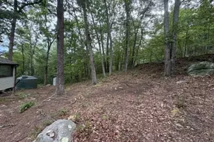 2011 Bear Garden Trail, Capon Bridge, WV 26711 - Photo 19