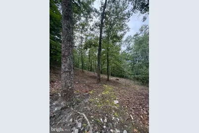 2011 Bear Garden Trail, Capon Bridge, WV 26711 - Photo 33