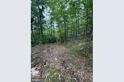 2011 Bear Garden Trail, Capon Bridge, WV 26711 - Photo 29