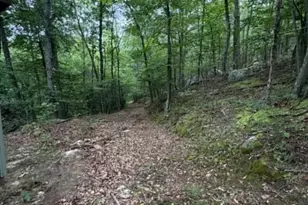 2011 Bear Garden Trail, Capon Bridge, WV 26711 - Photo 29