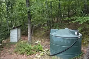 2011 Bear Garden Trail, Capon Bridge, WV 26711 - Photo 27