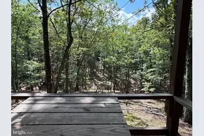 770 Staubwoods Drive, Romney, WV 26757 - Photo 17