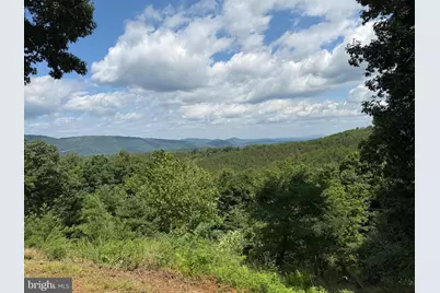 770 Staubwoods Drive, Romney, WV 26757 - Photo 67
