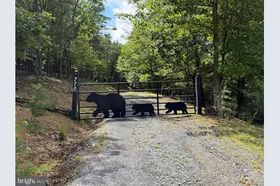 770 Staubwoods Drive, Romney, WV 26757 - Photo 11
