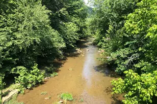 770 Staubwoods Dr, Romney, WV 26757 - Photo 141