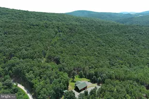 770 Staubwoods Dr, Romney, WV 26757 - Photo 93