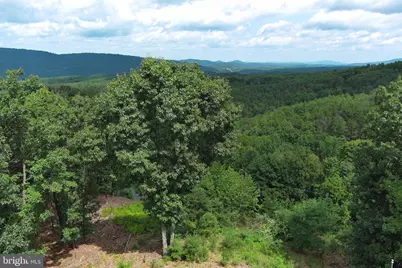 770 Staubwoods Drive, Romney, WV 26757 - Photo 111