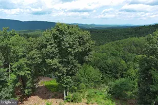 770 Staubwoods Dr, Romney, WV 26757 - Photo 111