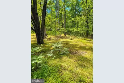 903 Pin Oak Road, Paw Paw, WV 25434 - Photo 3
