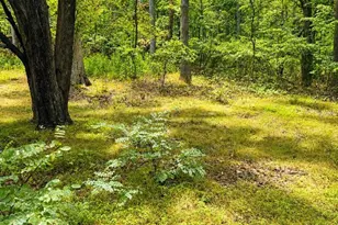 903 Pin Oak Rd, Paw Paw, WV 25434 - Photo 3