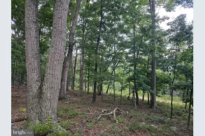 Lots 6 & 7 Pioneer Lane, Capon Bridge, WV 26711 - Photo 19