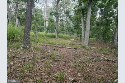 Lots 6 & 7 Pioneer Lane, Capon Bridge, WV 26711 - Photo 3
