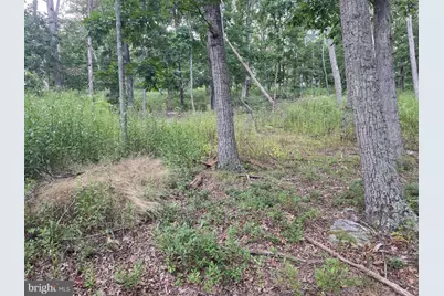 Lots 6 & 7 Pioneer Lane, Capon Bridge, WV 26711 - Photo 17