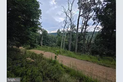 Lots 6 & 7 Pioneer Lane, Capon Bridge, WV 26711 - Photo 23