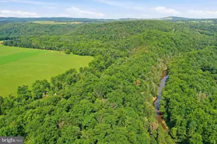 547 Twin Flower Ln, Capon Bridge, WV 26711 - Photo 25