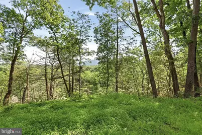 547 Twin Flower Lane, Capon Bridge, WV 26711 - Photo 35