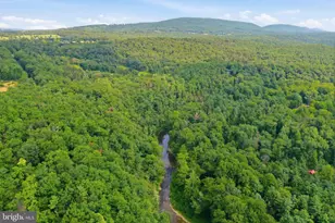 547 Twin Flower Ln, Capon Bridge, WV 26711 - Photo 29