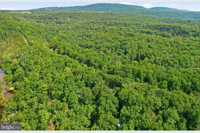 547 Twin Flower Lane, Capon Bridge, WV 26711 - Photo 27