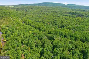 547 Twin Flower Ln, Capon Bridge, WV 26711 - Photo 27