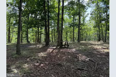 20 Unrestricted Acres, Romney, WV 26757 - Photo 25