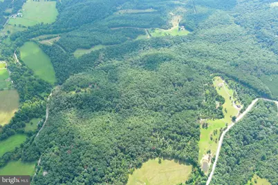 20 Unrestricted Acres, Romney, WV 26757 - Photo 41