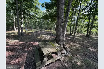 20 Unrestricted Acres, Romney, WV 26757 - Photo 33