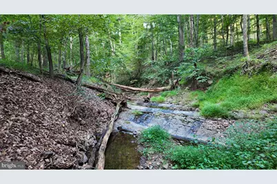 607 Feller Drive, Levels, WV 25431 - Photo 9