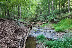 607 Feller Dr, Levels, WV 25431 - Photo 9
