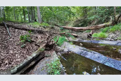 607 Feller Drive, Levels, WV 25431 - Photo 17