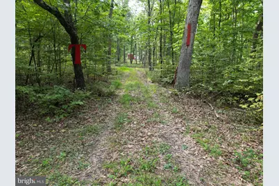 1552 Old Smith Farm Road, Green Spring, WV 26722 - Photo 5
